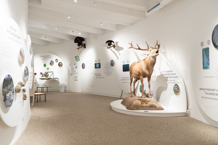 Ausstellungsansicht BIOS Nationalparkzentrum