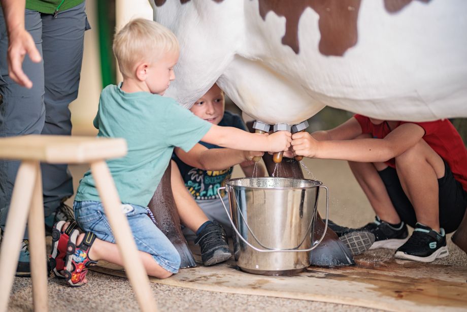 Kinder in der Ausstellung univerzoom nationalpark