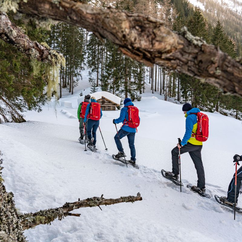 Die Touren ermöglichen Naturerlebnisse abseits des Trubels und vermitteln Wissenswertes über Landschaft, Tierwelt und Schutzgebietsregeln im Winter.