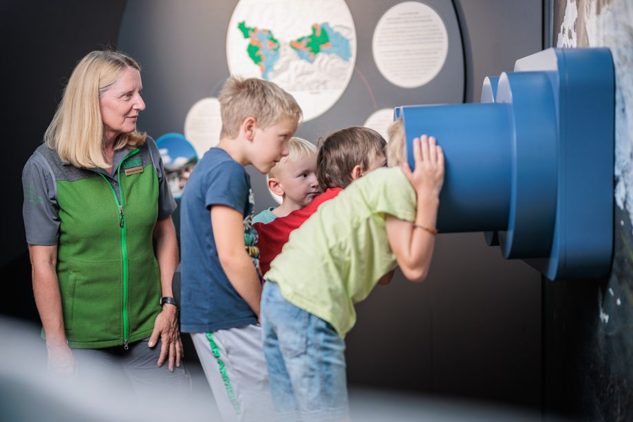Ranger:innentour durch die Ausstellung univerzoom nationalpark